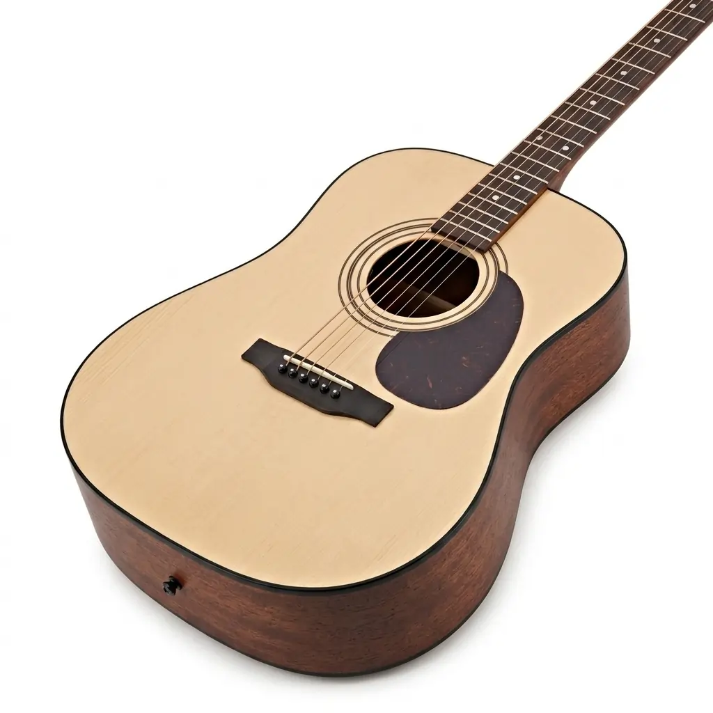 Steel-string acoustic guitar used in Presto Forte classes