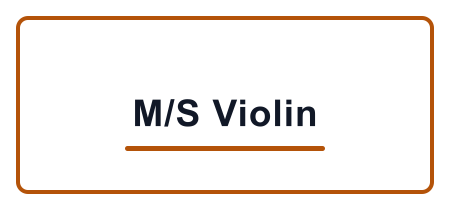 M/S Violin