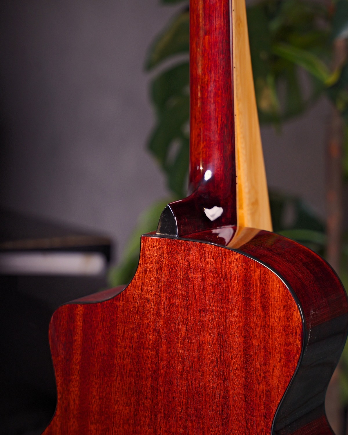 Strydom F240C Auditorium Acoustic Guitar Tobacco Gloss