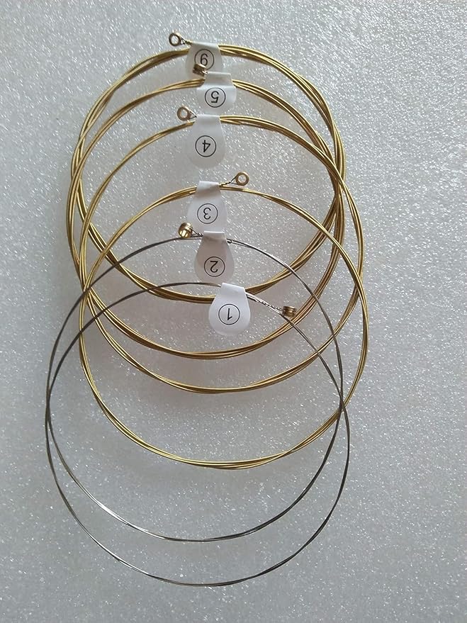 AGS.010 Zudio Acoustic String Set